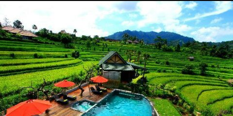 wikapiscarini banner