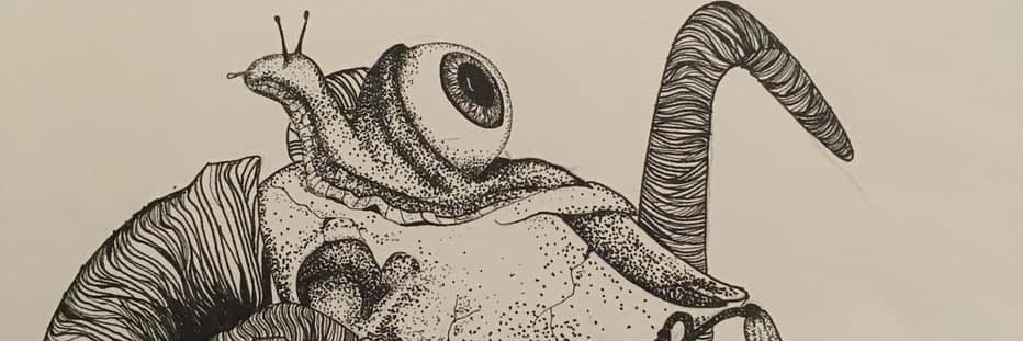 Clarissa Wilding banner