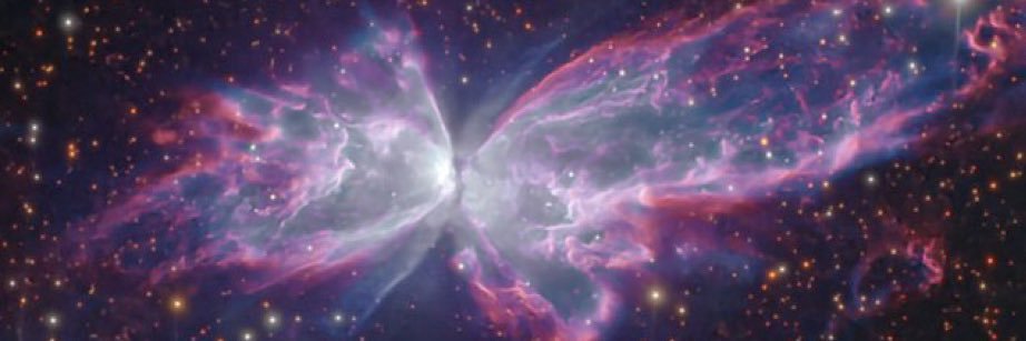 arahat.base/ledgerdryhanger banner