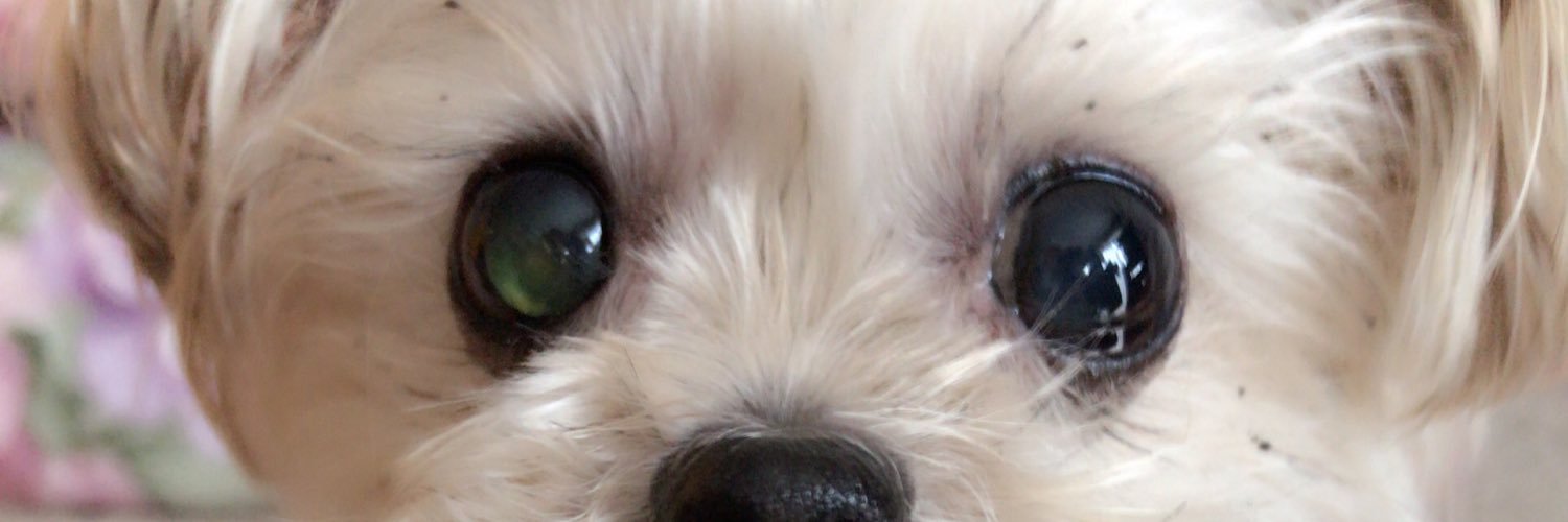 yrm_luv's profile banner image