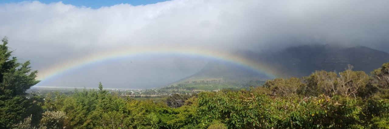 mike freedman banner