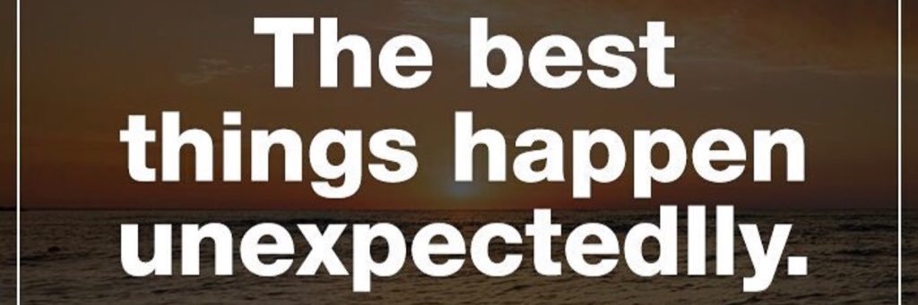 Lindsey Brackey banner