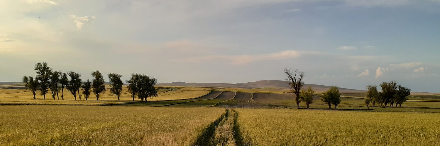 MustafaGrcn's profile banner image