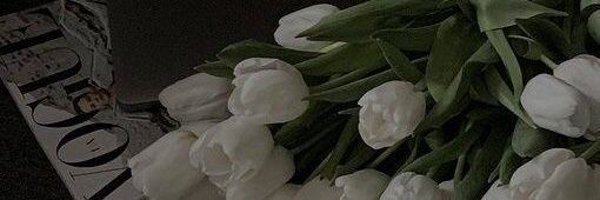 bwniiese Profile Banner