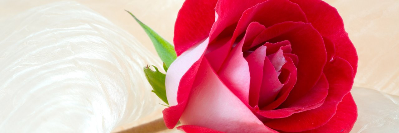 fatimaafreen201's profile banner image