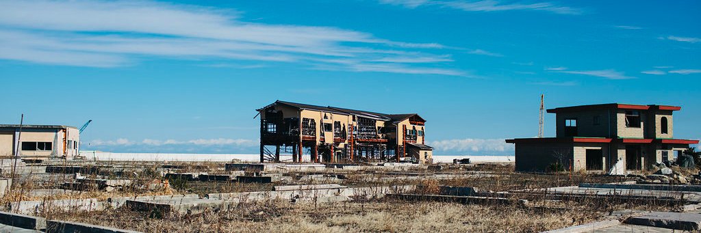 The Lush Times banner