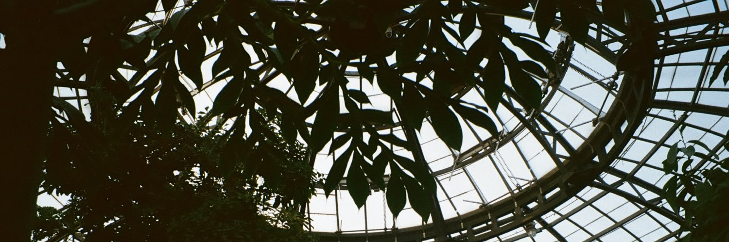 catluvr_420's profile banner image