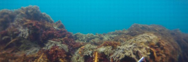 BlairTuke Profile Banner