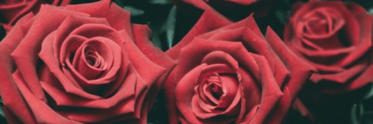 manalgabash's profile banner image