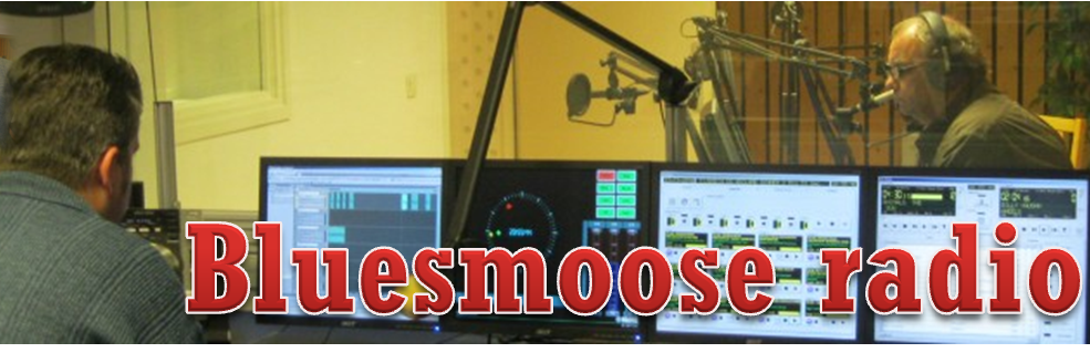 BluesMoose's profile banner image