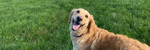 StuartTownsend9 Profile Banner