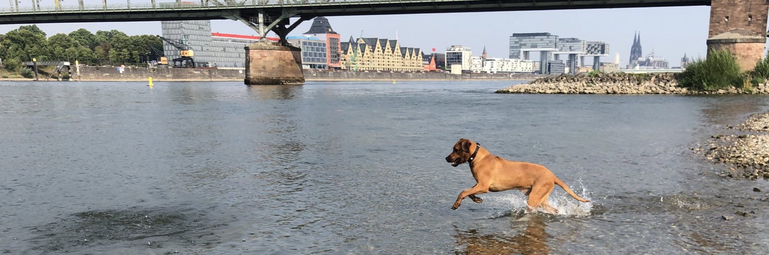 AnjaSturmKoeln's profile banner image