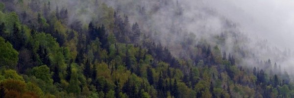 BioFokus Profile Banner