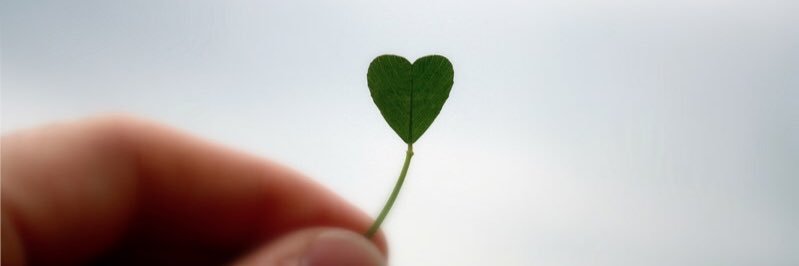 Adam_1029's profile banner image