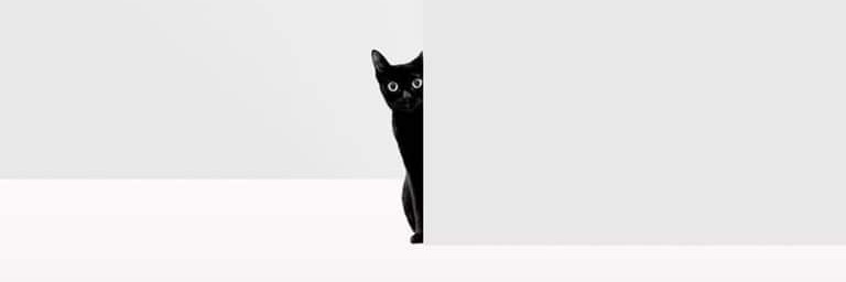 jlloysd's profile banner image