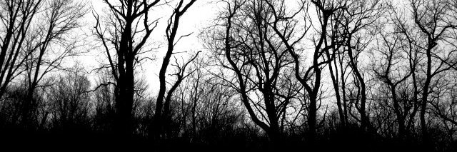 Studiesgothicfiction banner