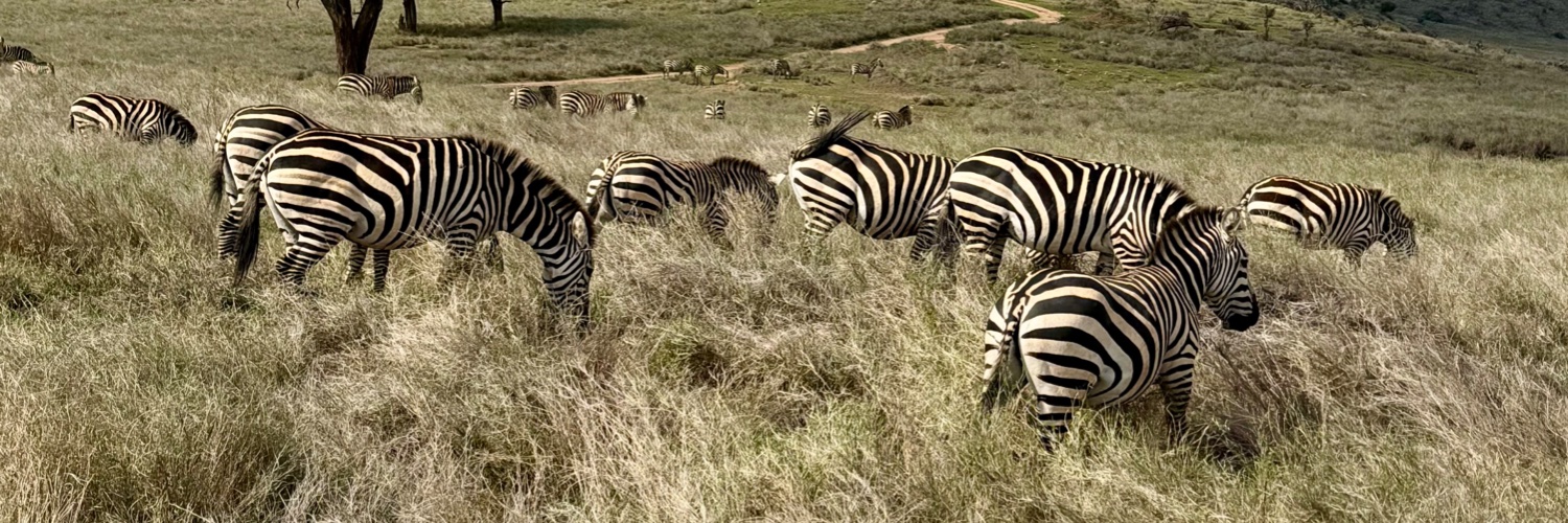 Chris Alexander 🇨🇦🌻 banner