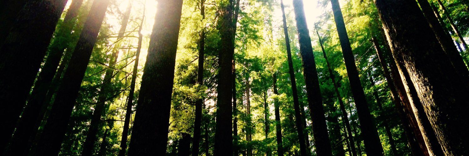 carolynsims52's profile banner image