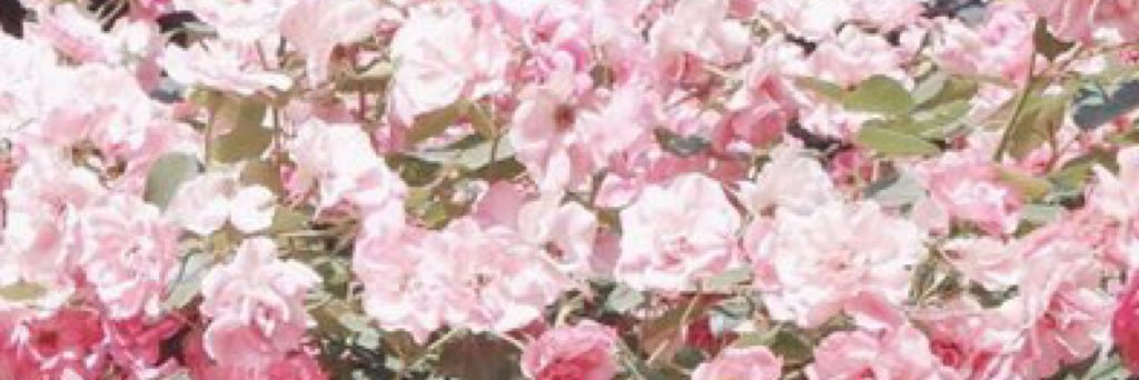 ___ml0___'s profile banner image
