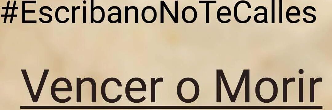notariossinreg's profile banner image