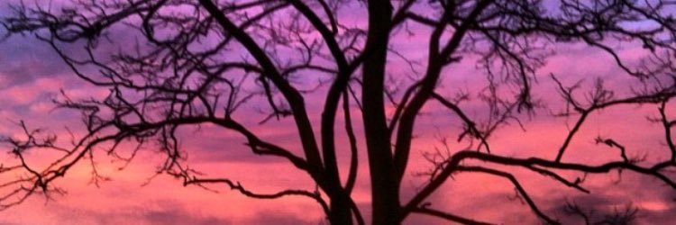K4t3W's profile banner image