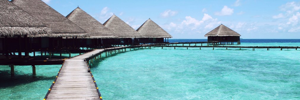 tikihutbrands's profile banner image