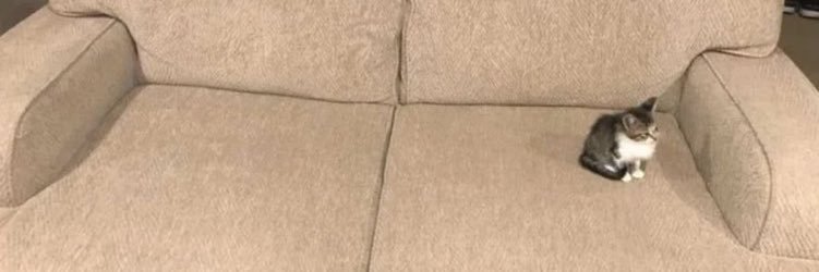 WLNski's profile banner image