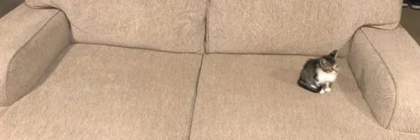 WLNski Profile Banner