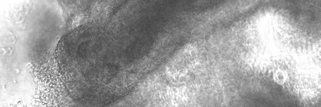 nikhilc236's profile banner image