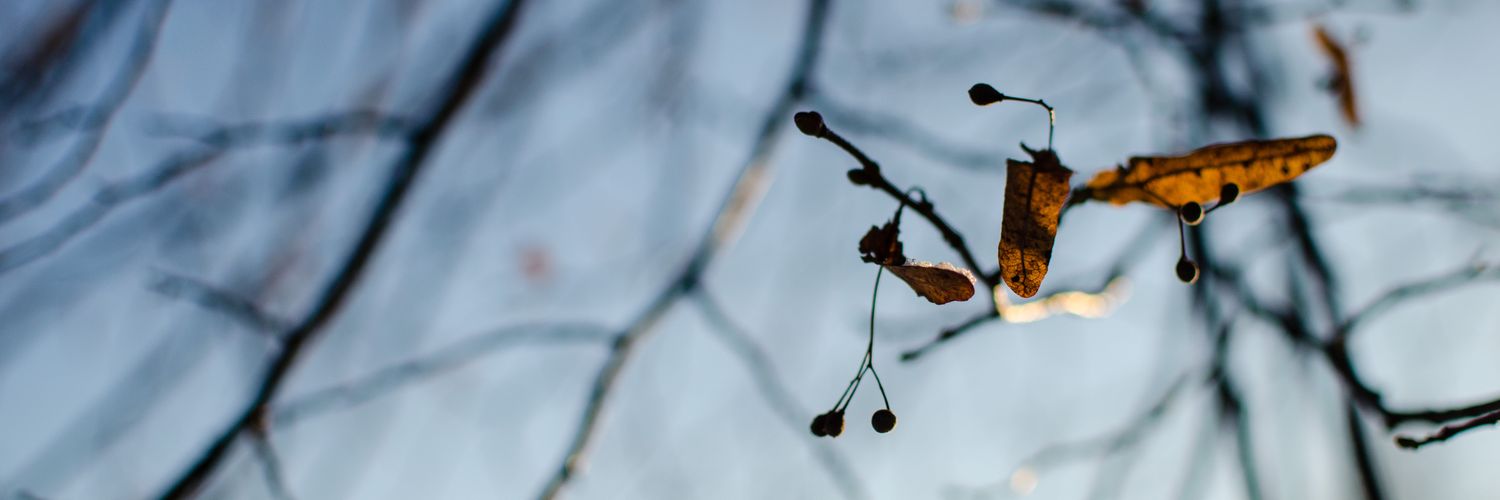 maariantoom's profile banner image