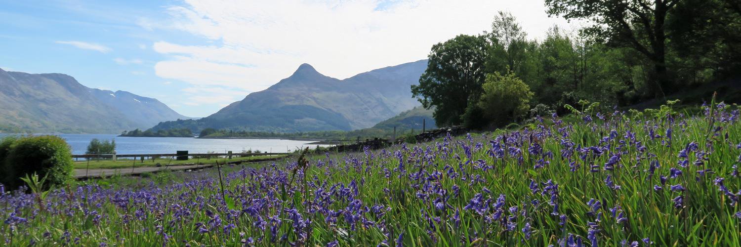 Wild About Lochaber banner