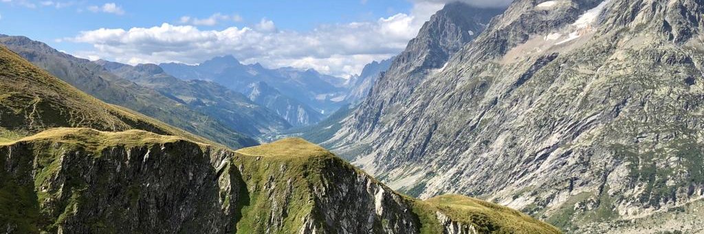 Anna Perkins 💙 banner