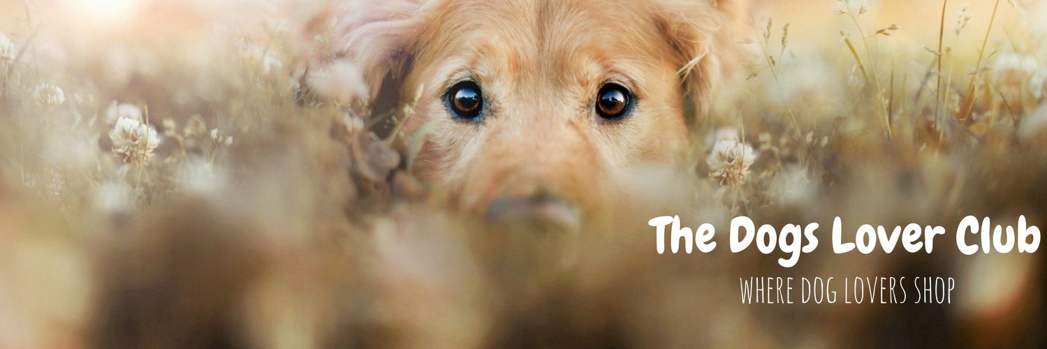 DogsLoverClub's profile banner image