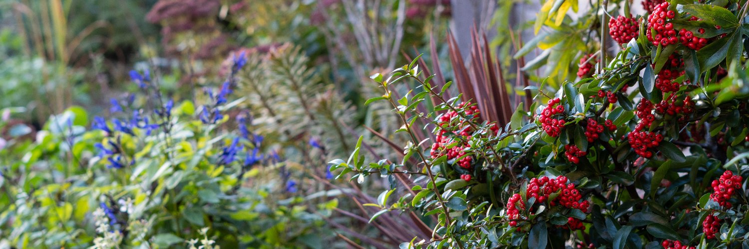 Andrew Griffiths banner