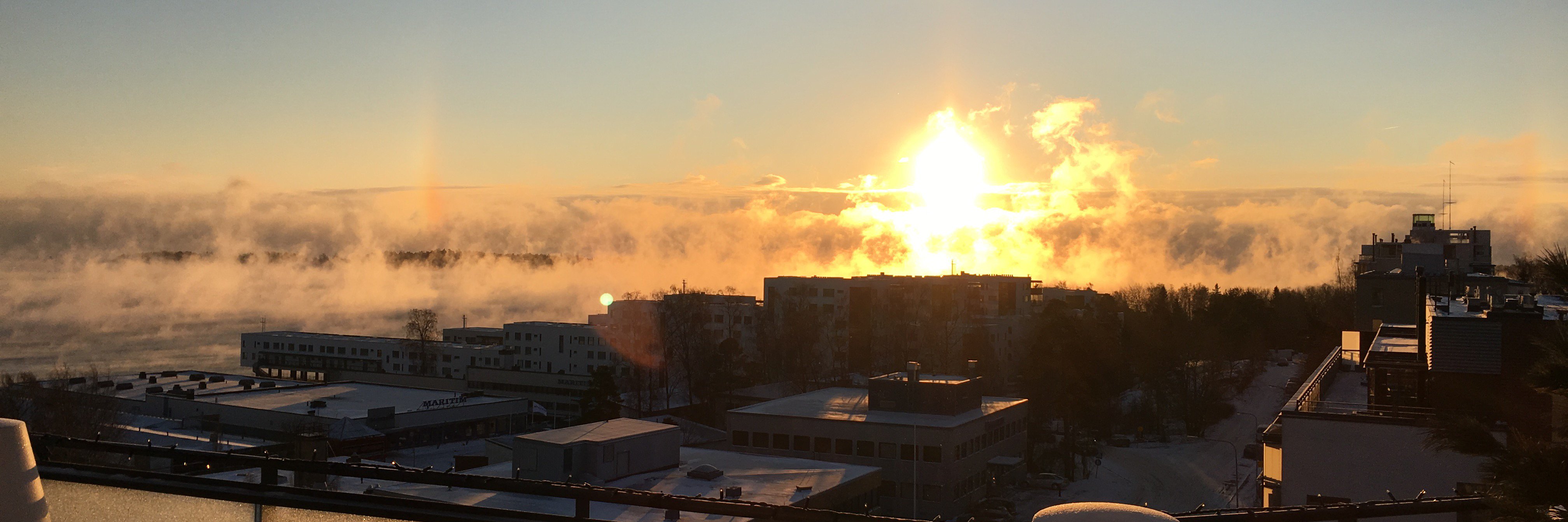 Leena Saarinen banner