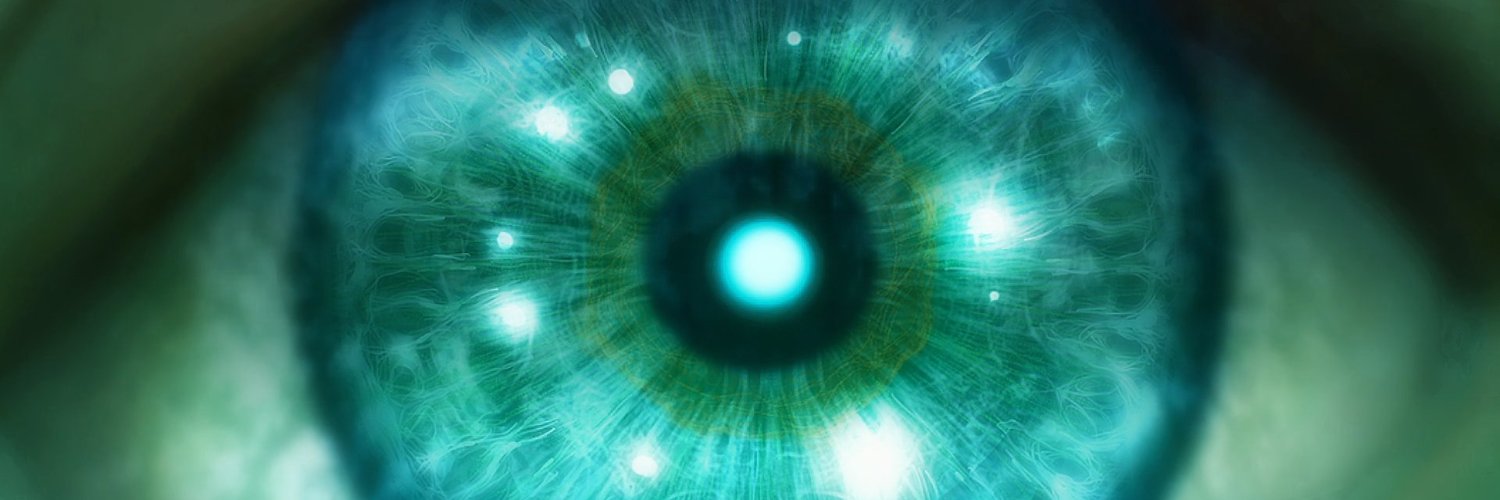 Seigi banner