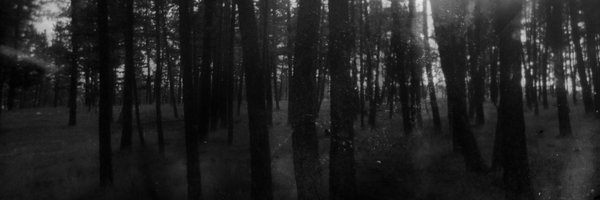 steeph Profile Banner