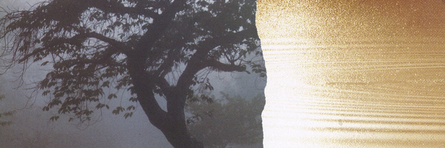 bird_language's profile banner image