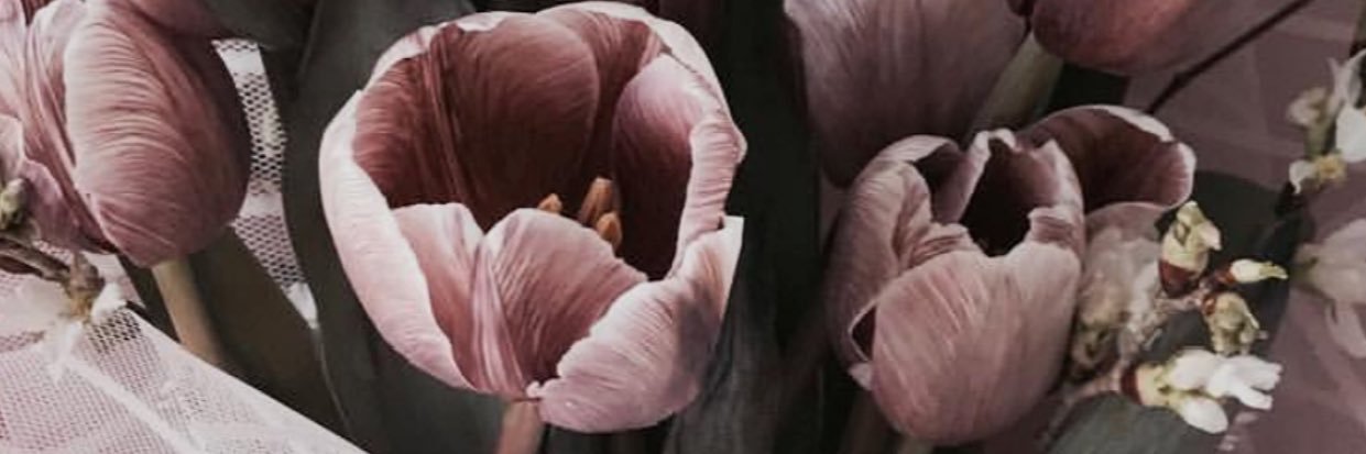 rifloust's profile banner image