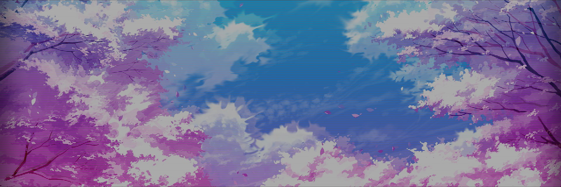 Xrenaj's profile banner image