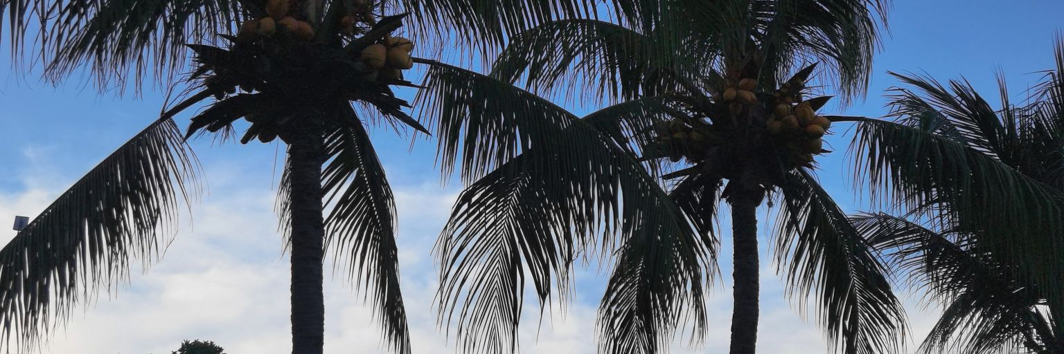 Tannybear_'s profile banner image