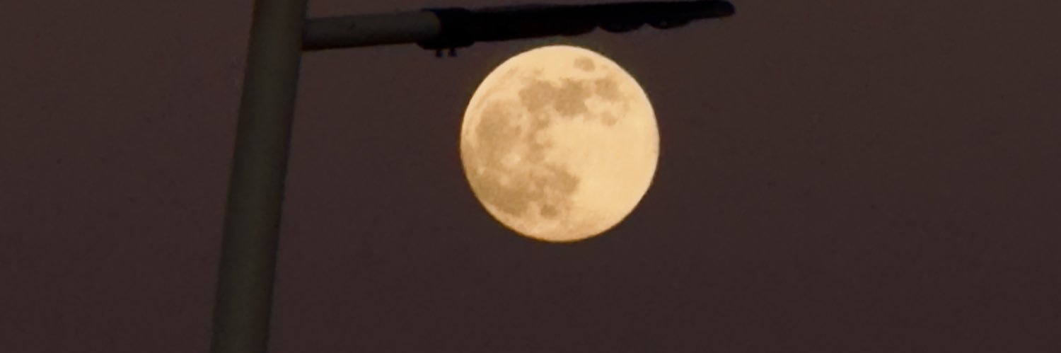 المصور :عادل الديحاني banner