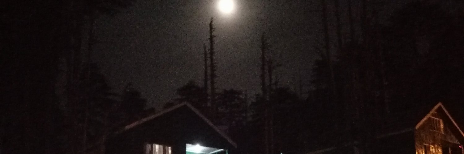 Innocent Trader banner