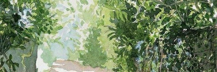 Hana • limit banner