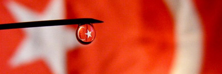 Yunus ama Emre banner
