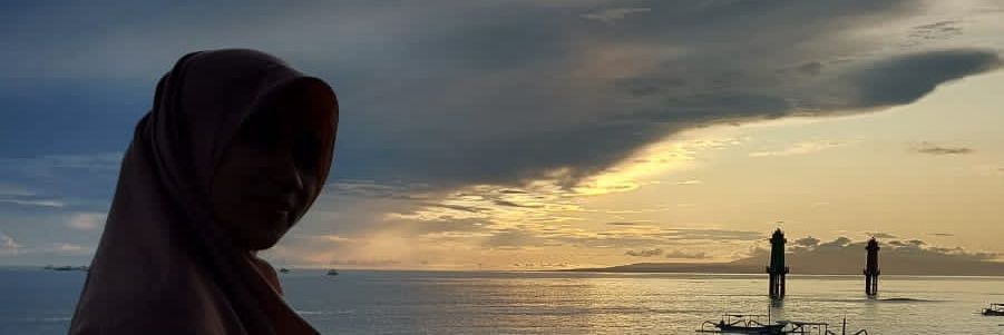 Sapuma_'s profile banner image