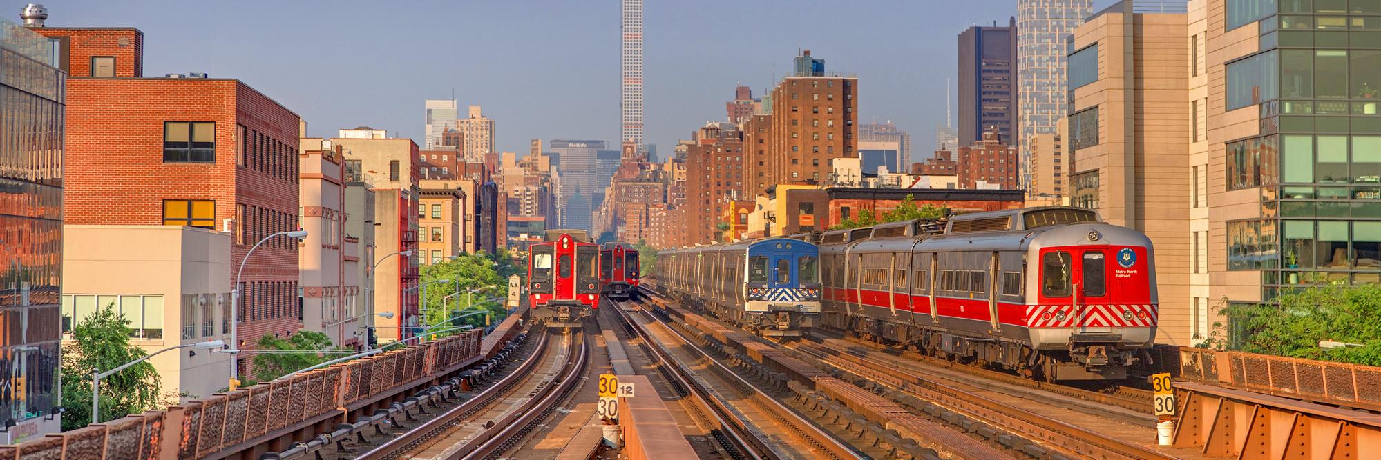 Emily 🌻 HarlemLine.com banner