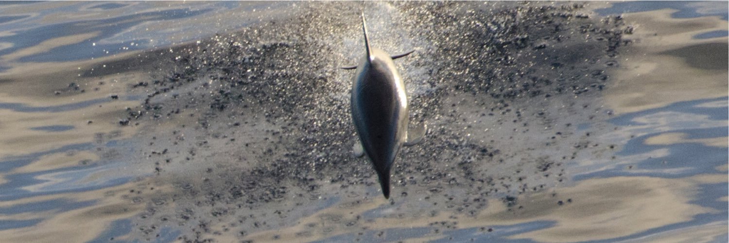 paul thompson banner