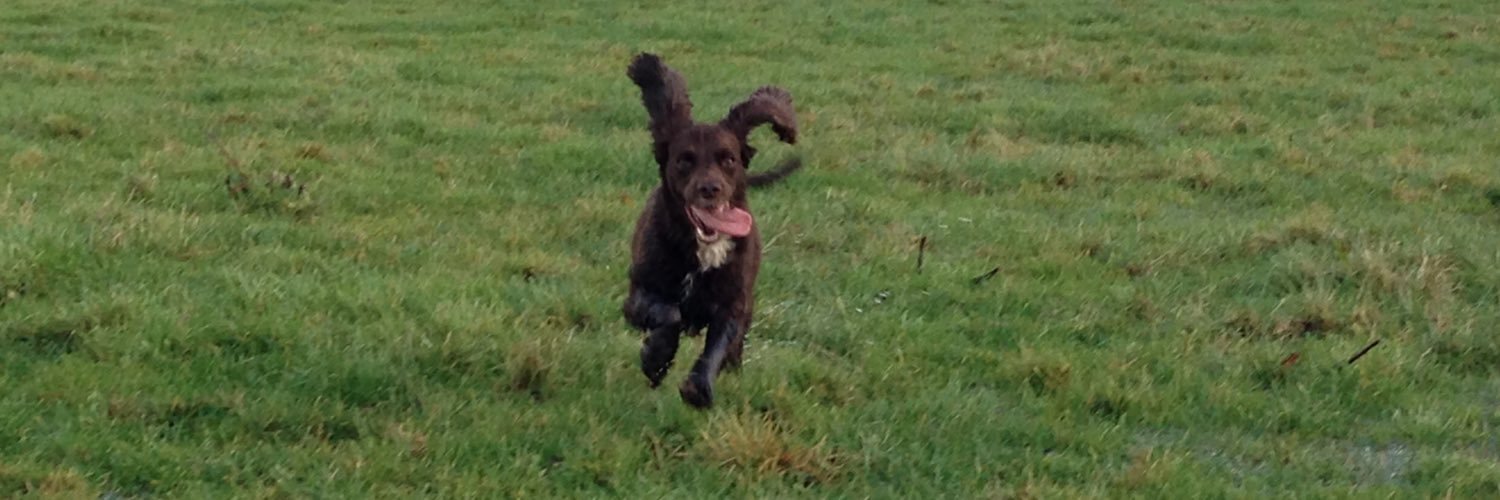 Anthony Hagen banner