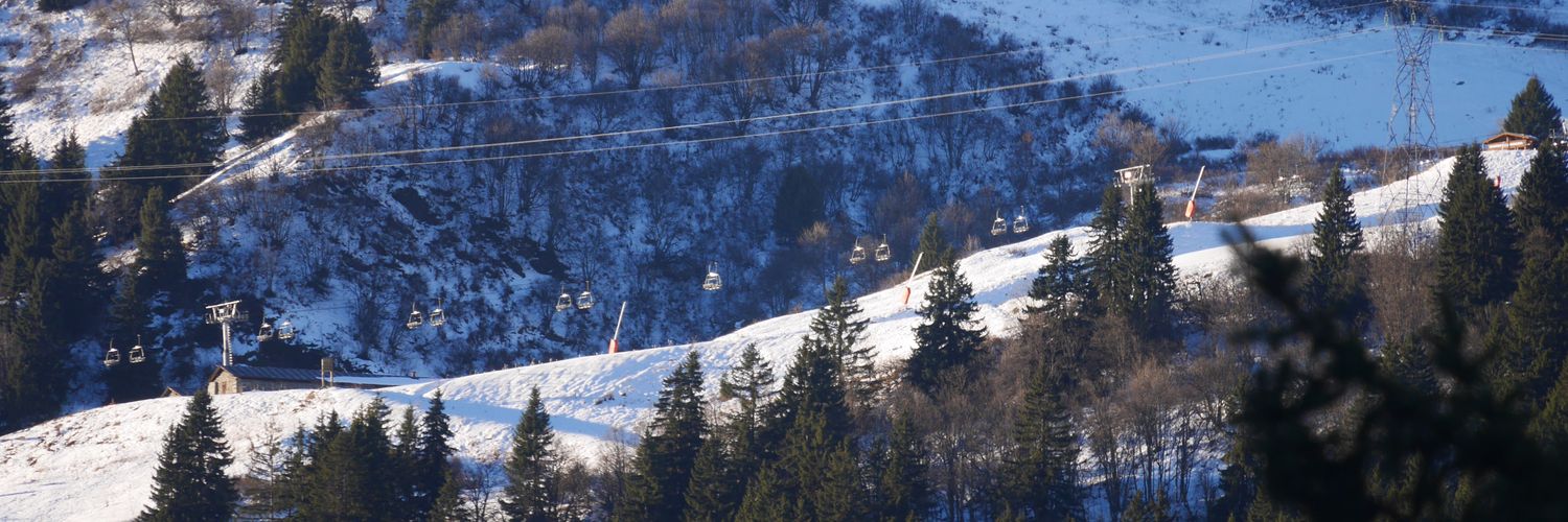 AlpineActionski's profile banner image